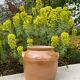 Light brown ceramic jar