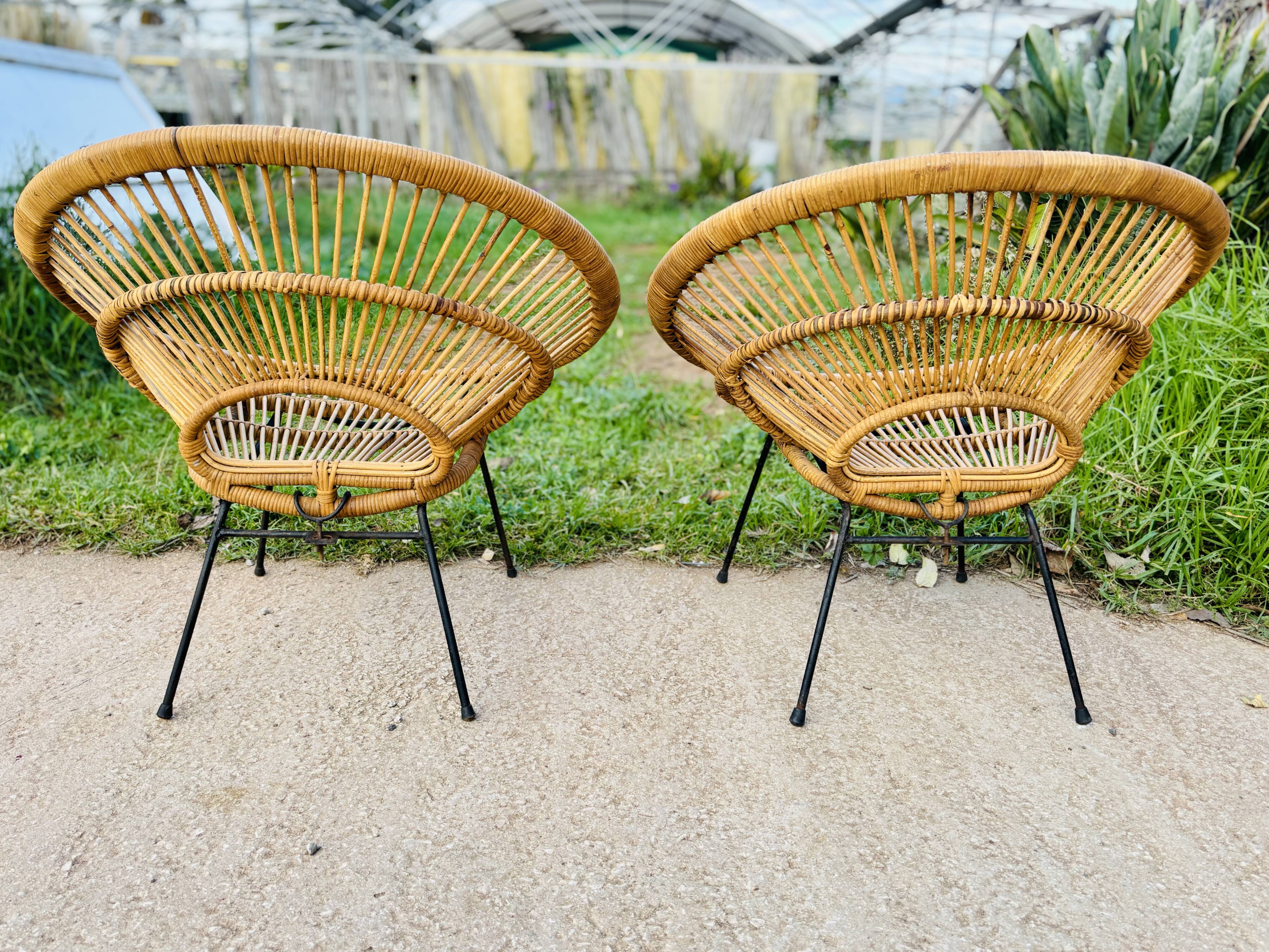 Pair of 1950s "Sun" armchairs