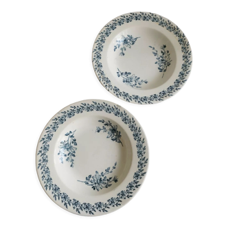 Pair of Luneville daisy plates