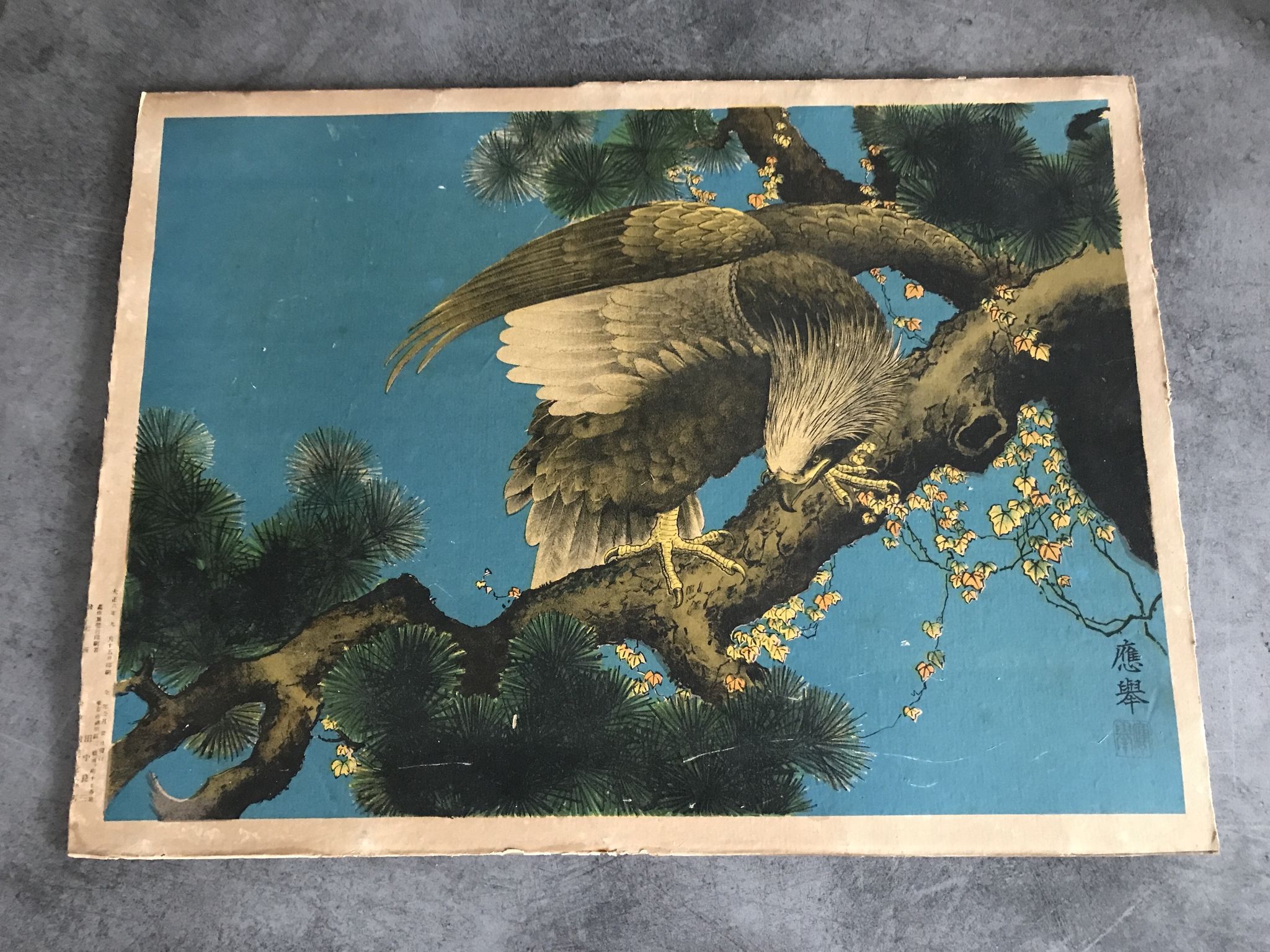 Ancienne estampe d’asie à décor polychrome d’aigle sur une branche xixème