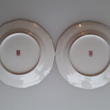 Set of 21 porcelain plates from Limoges UNIC - Decoration with golden twigs