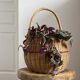 Panier rond