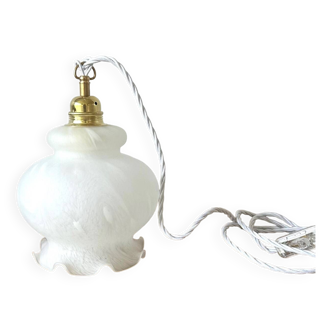 Portable lamp / pendant lamp