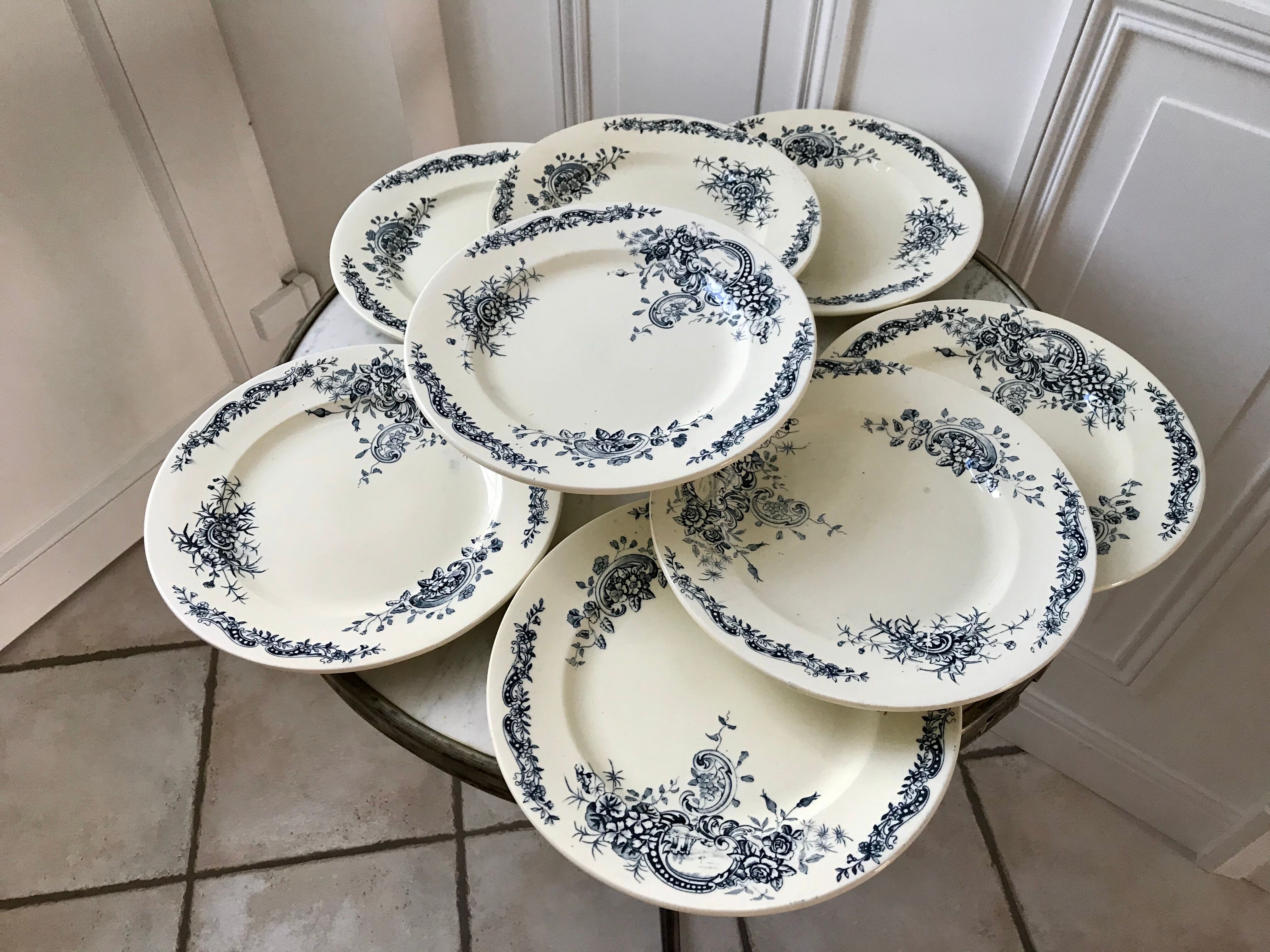 Set of 8 flat plates Terre de Fer Salins model "Rocailles" late nineteenth
