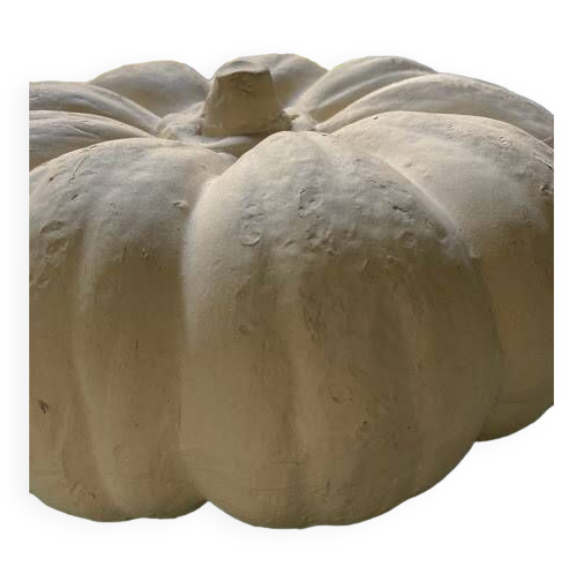 Citrouille décorative