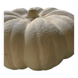 Decorative pumpkin