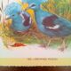 lot of zoological posters, birds, 60s