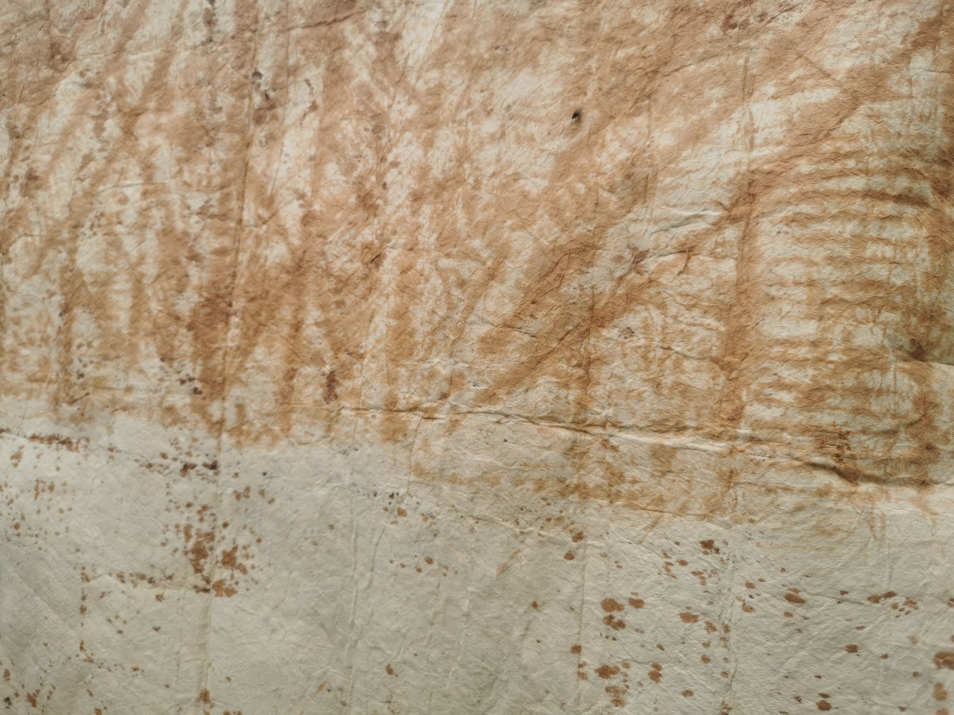 Kapa Tapa Polynesian