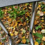 Pair of chairs in formica