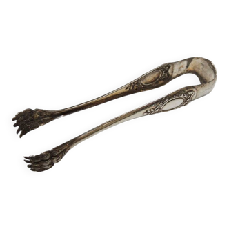 Antique metal sugar tongs in the shape of a lion's paw.