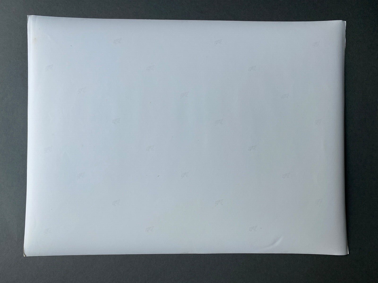 Photo silver dead tree in front of lake n°4 bernard darot xxth