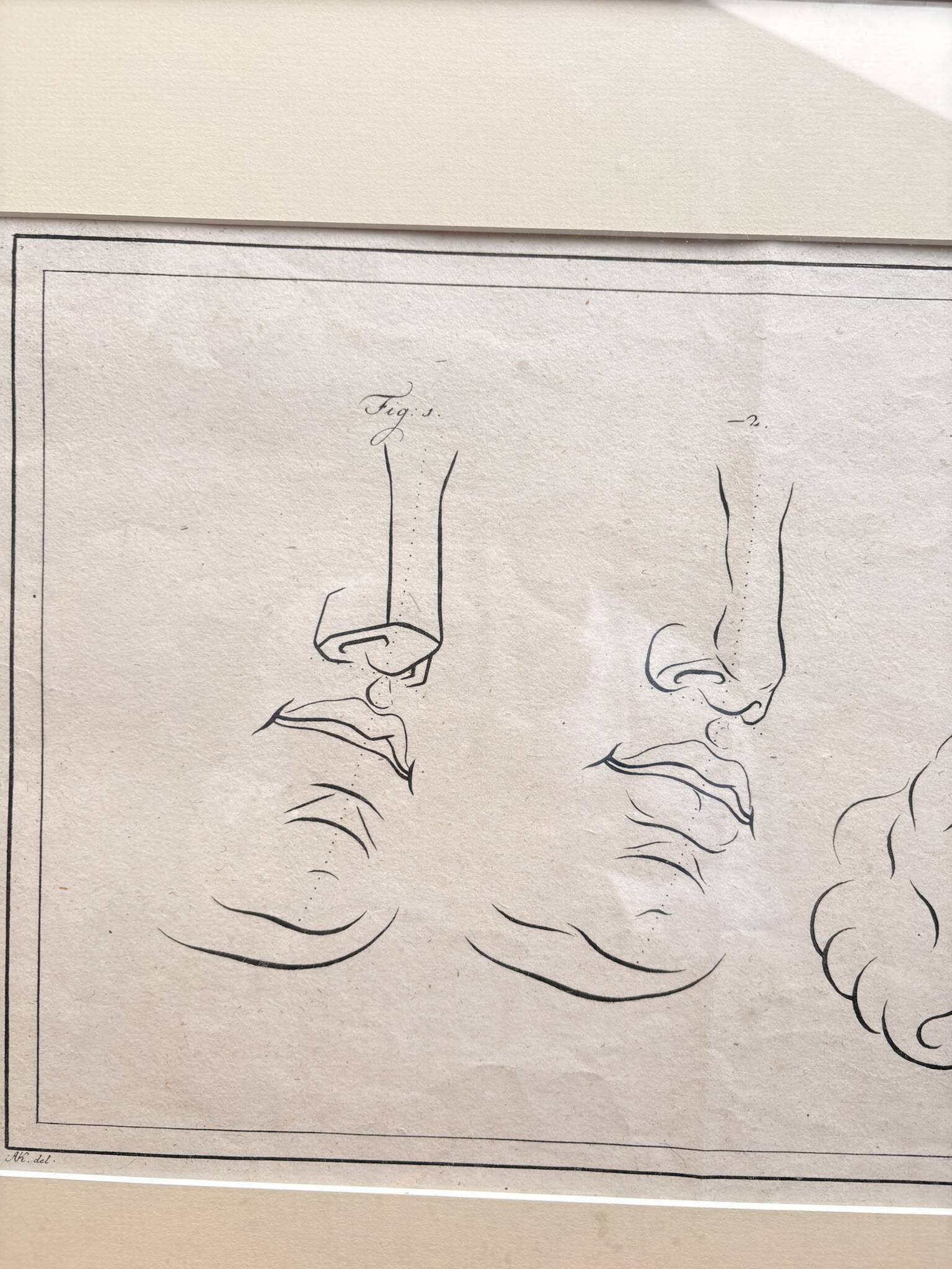 19th Century Gravure Anatomy Nose Mouth Plate Head Morphology Bernard Julien
