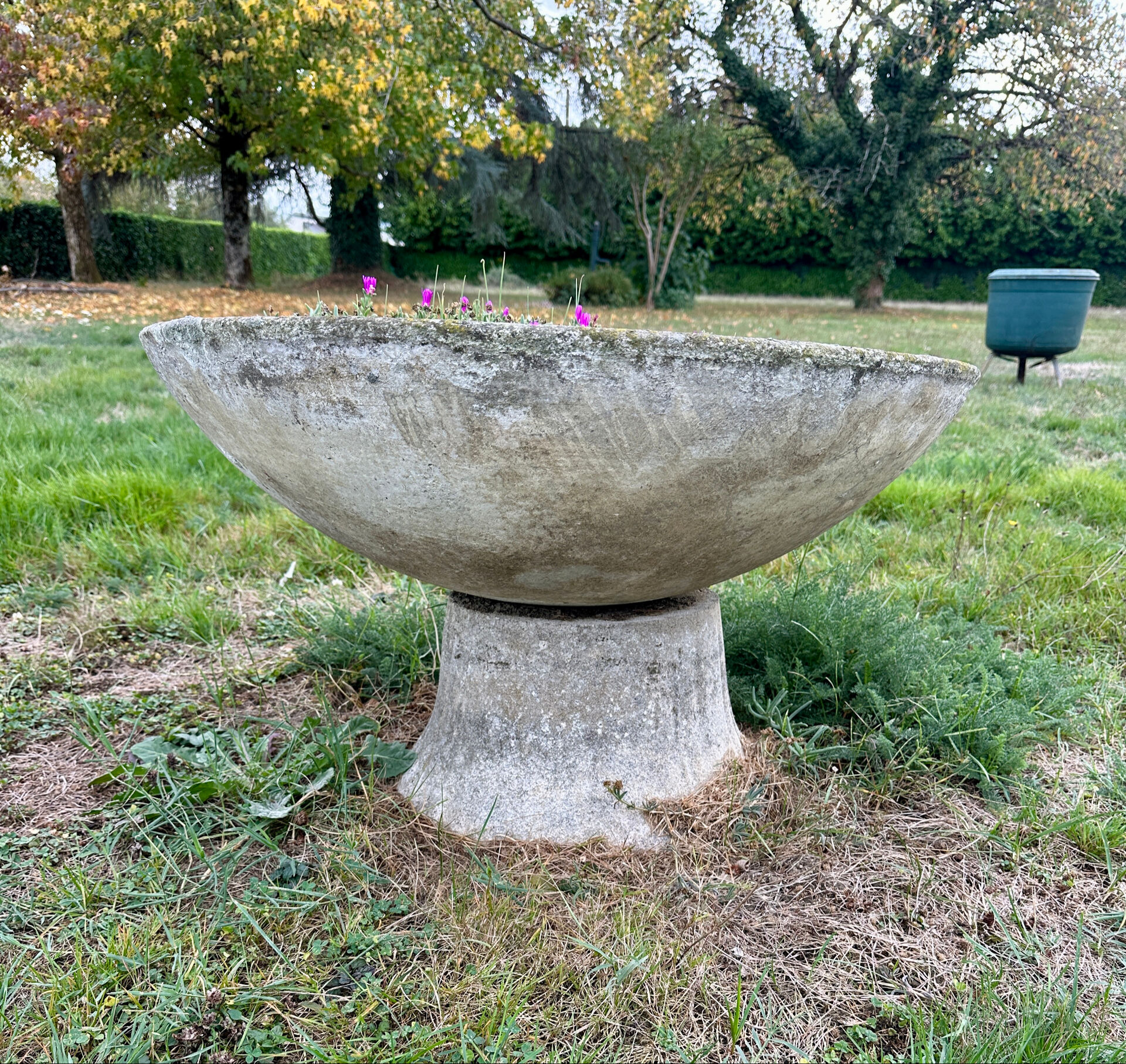 Old planter, pedestal basin by Willy Guhl