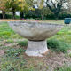 Old planter, pedestal basin by Willy Guhl