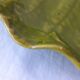 Leaf dish Pol Chambost