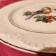 6 dessert plates Digoin Sarreguemines with coloured bird design.