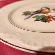 6 assiettes dessert Digoin Sarreguemines décor oiseau en couleur