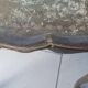 Set of 3 vintage wooden nesting tables