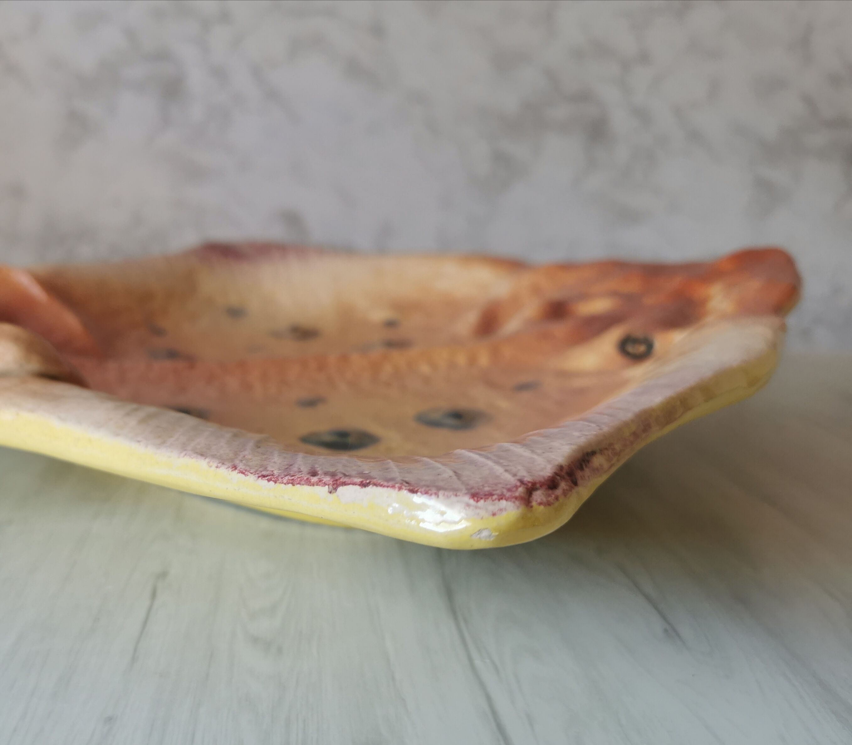 Zoomorphic dish ray