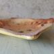 Zoomorphic dish ray