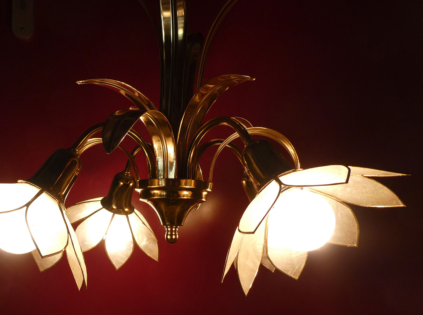 Brass chandelier and flowers in mother-of-pearl petals