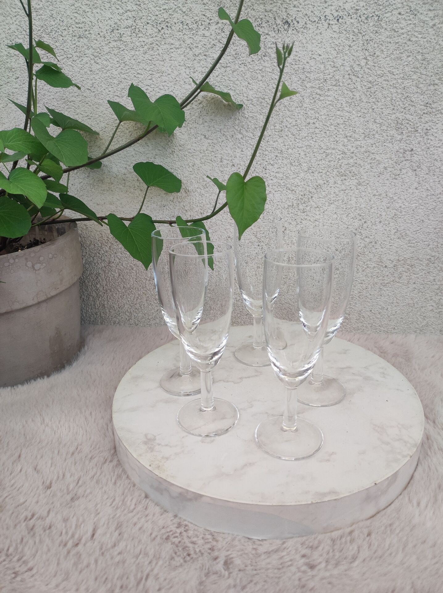 Champagne flutes