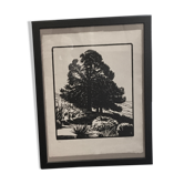 Original illustration numbered Philippe Charles BURNOT 1924