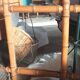 Bamboo entourage mirror