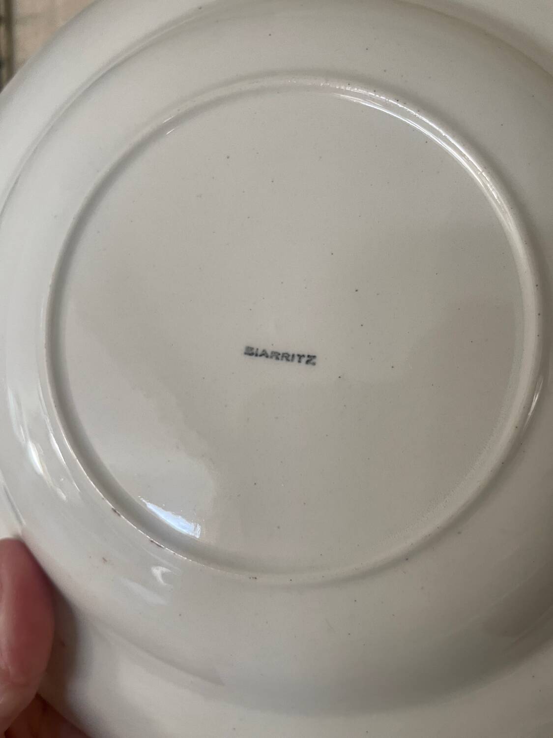6 Biarritz earthenware soup plates