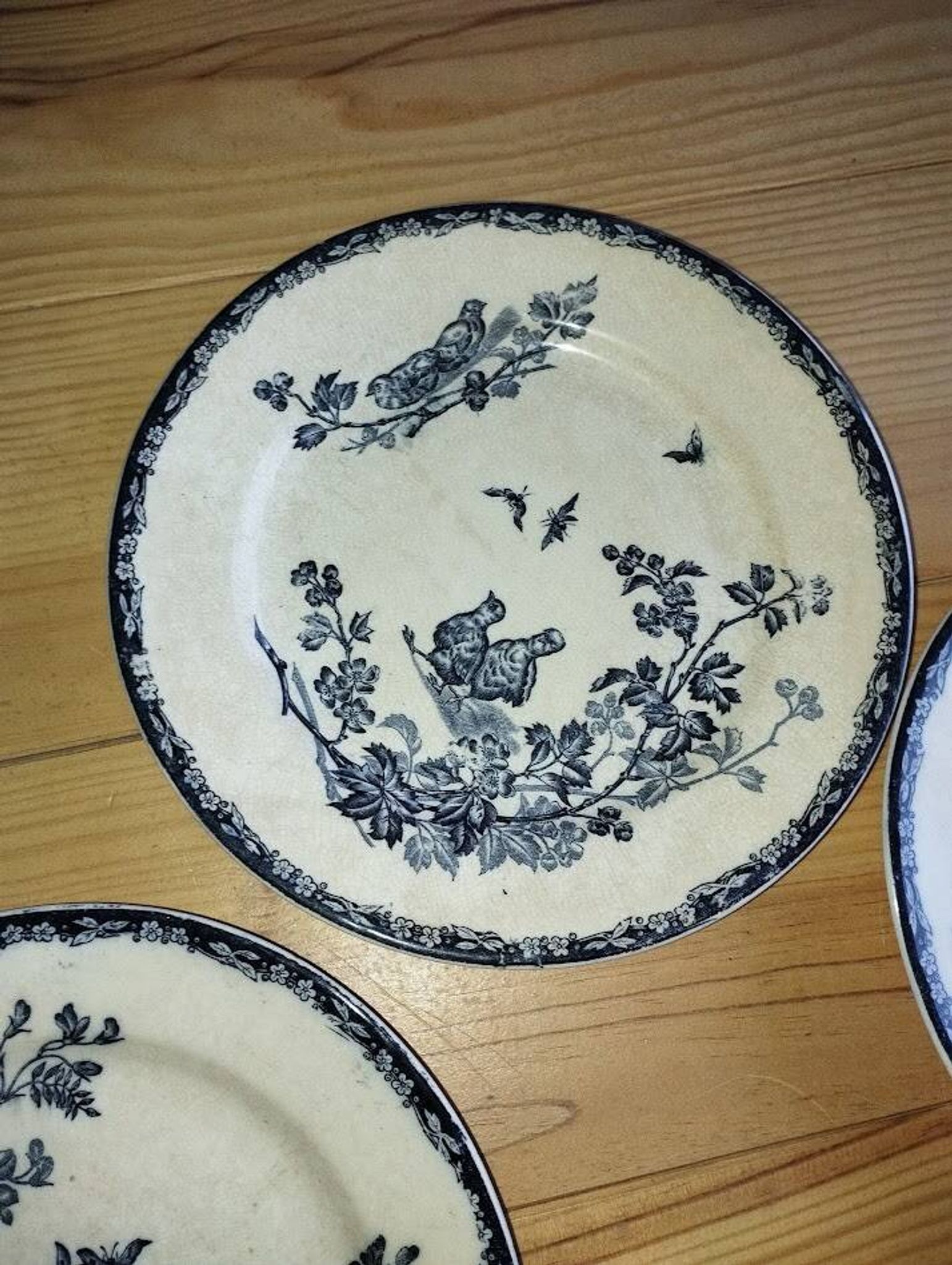 Deep Plates "Terre de Fer – The Chicks" (6 pieces)