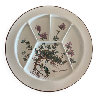 Botanica plates