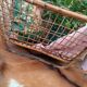 OLD BASKET OR LAUNDRY BASKET
