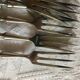 Series of dessert cutlery in stainless steel "with two lions"