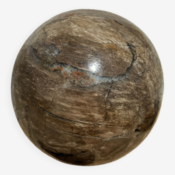 Fossilized stone ball 11.5 cm