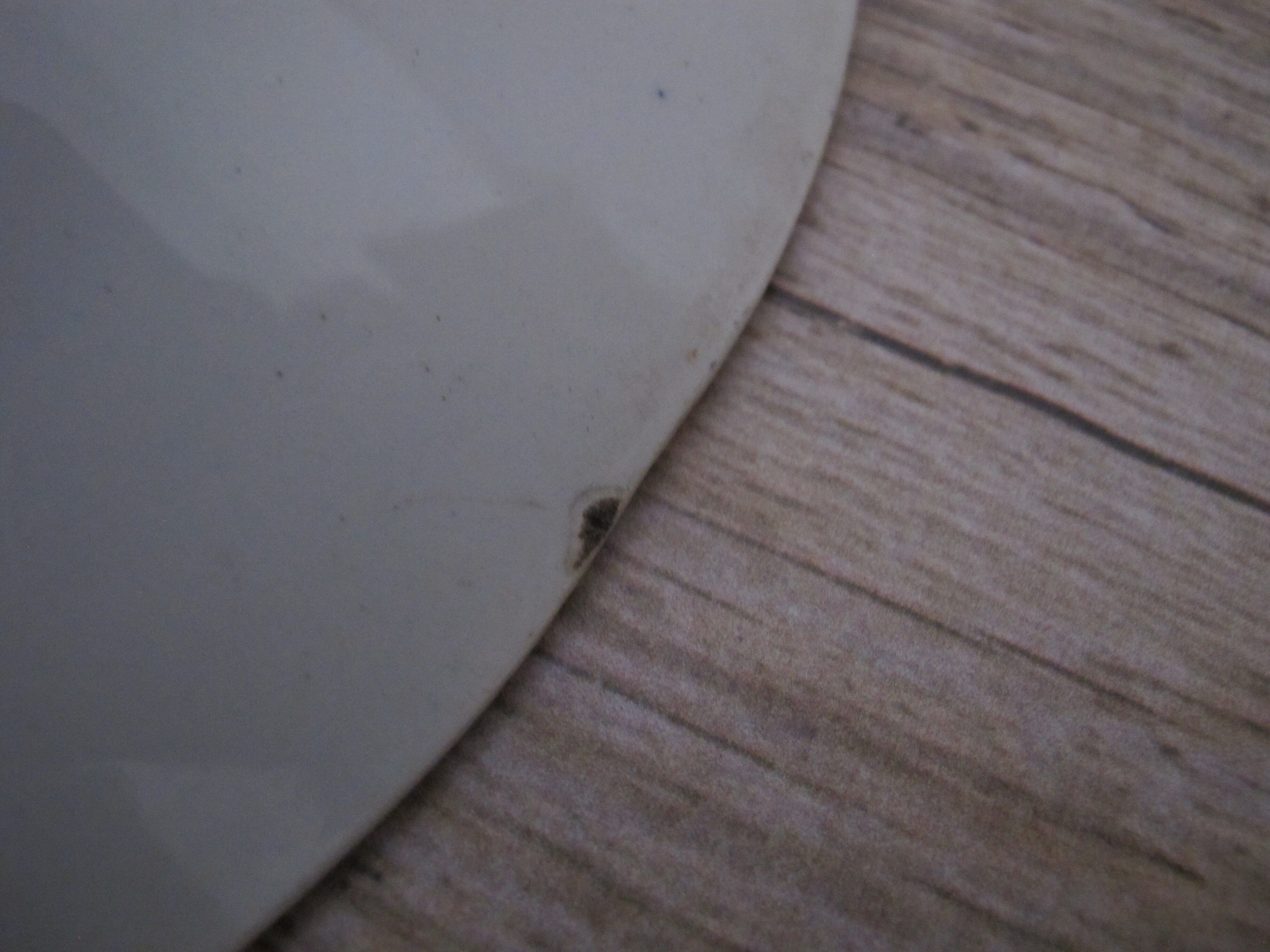 Compotier in Iron Land of Saint Amand