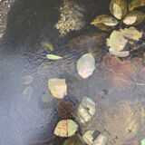 Table pedestal table 19th napoleon3