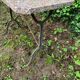1950s wrought iron and grey/pink granite bidet table