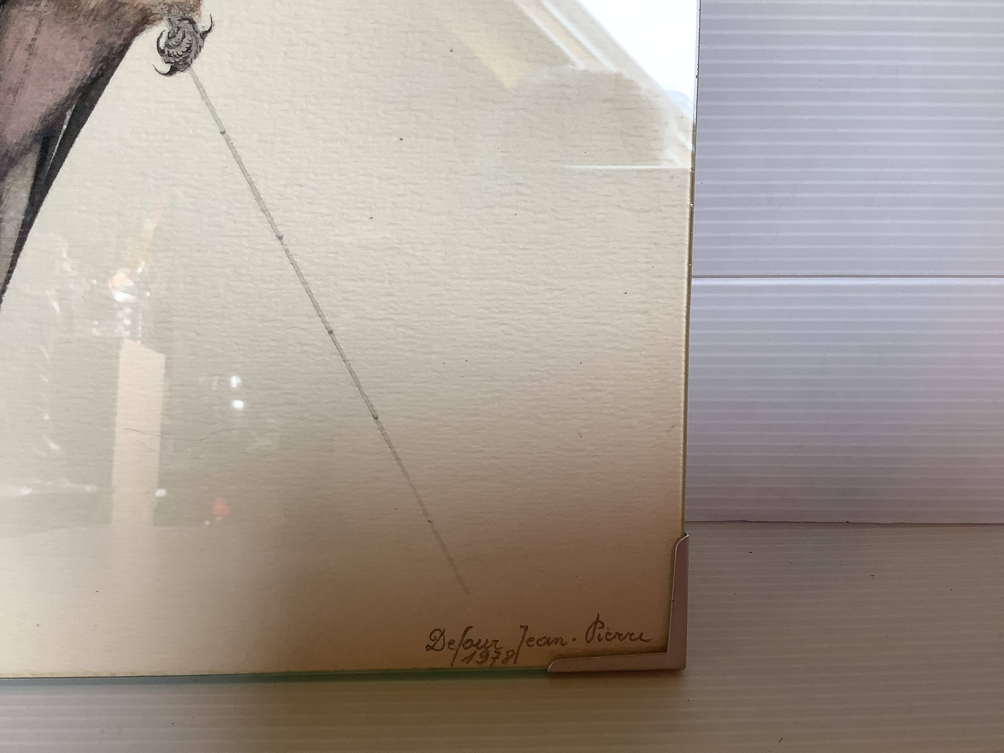 Bird ornithological board