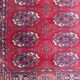 Carpet designs bukhara in wool 70x144 cm