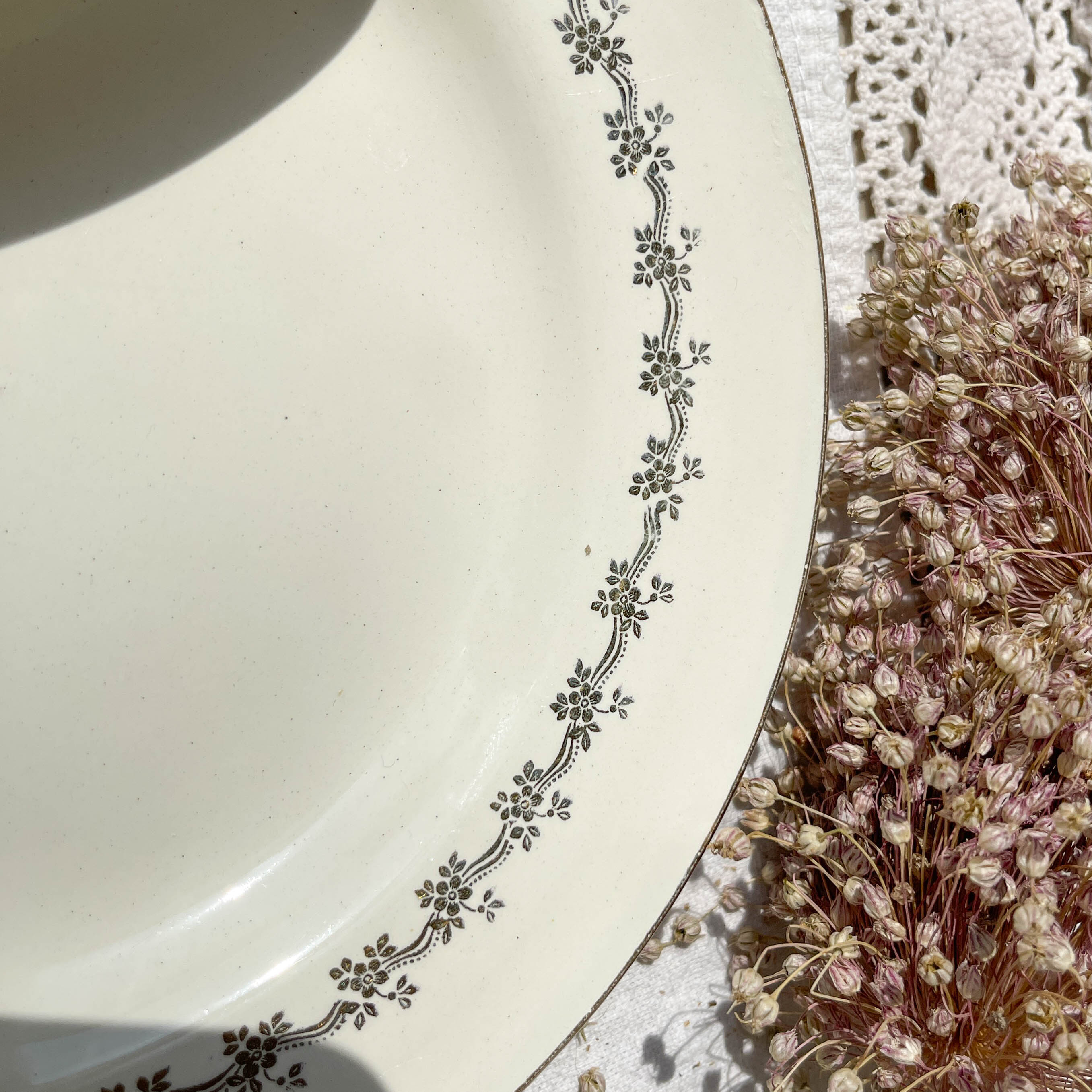 6 opaque porcelain dinner plates, Digoin model "Suzy"