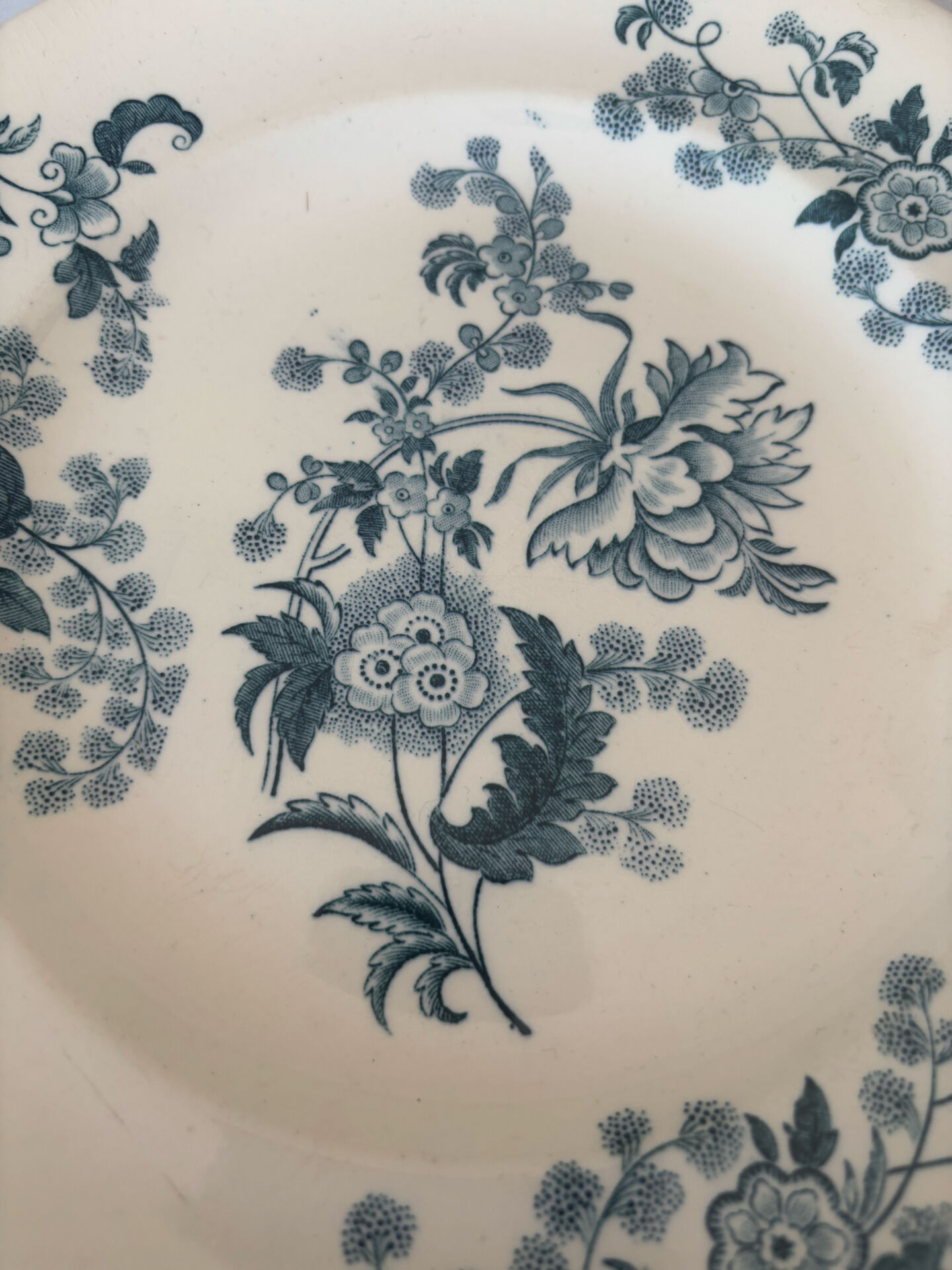Flat plate iron earth Longwy model Ycho - blue flower faience ja