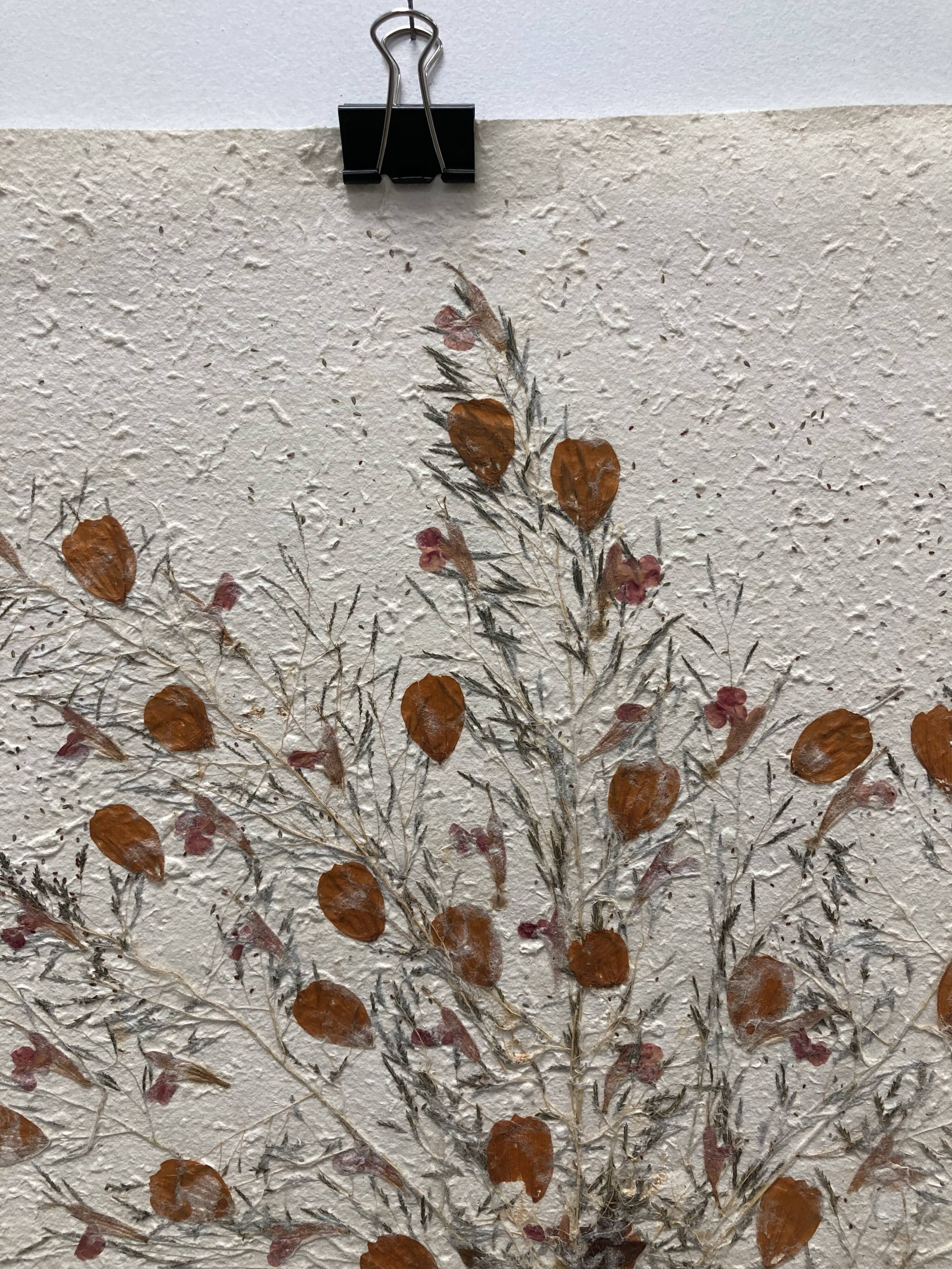 Vintage dried flower board