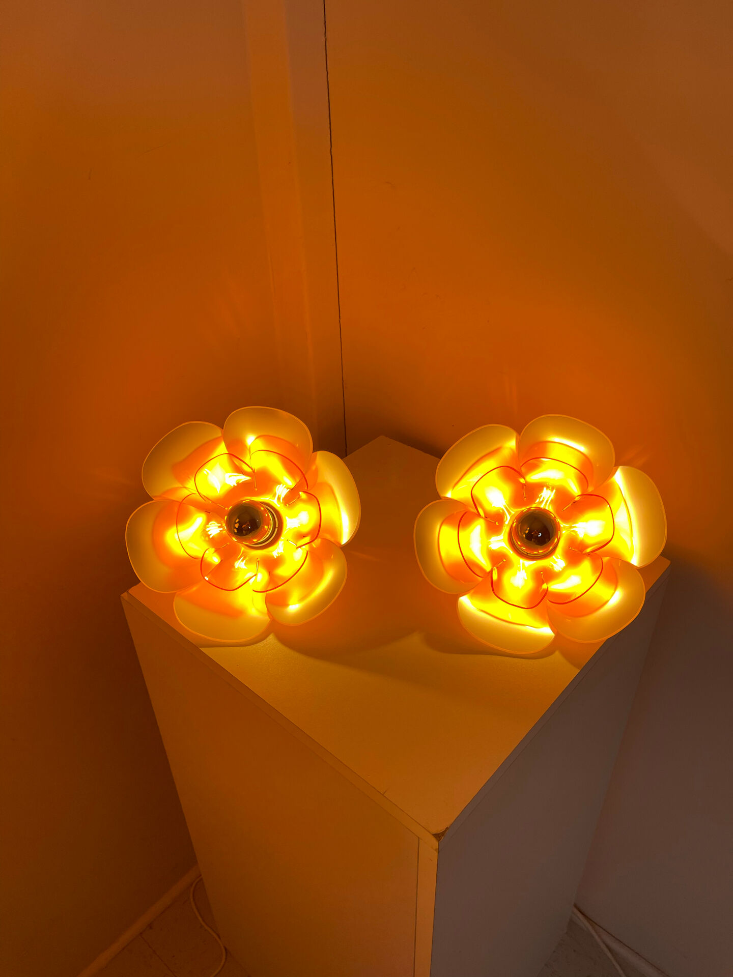 Pair of Flowers wall lights 1970