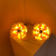 Pair of Flowers wall lights 1970