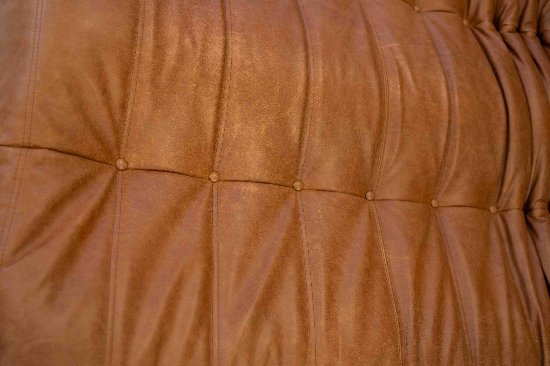 Togo chaise lounge in pine leather by Michel Ducaroy for Ligne Roset, 1974