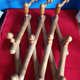 Vintage wooden accordion coat rack 10 hooks