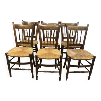 6 chaises Saintongeaise en merisier