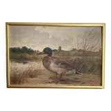 HST oil painting, Ermanno Clara, wild duck, late 19th early 20th century