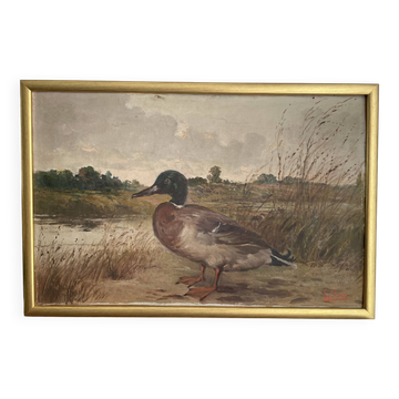 Tableau huile HST, Ermanno Clara, canard sauvage, fin XIXèeme début XXième