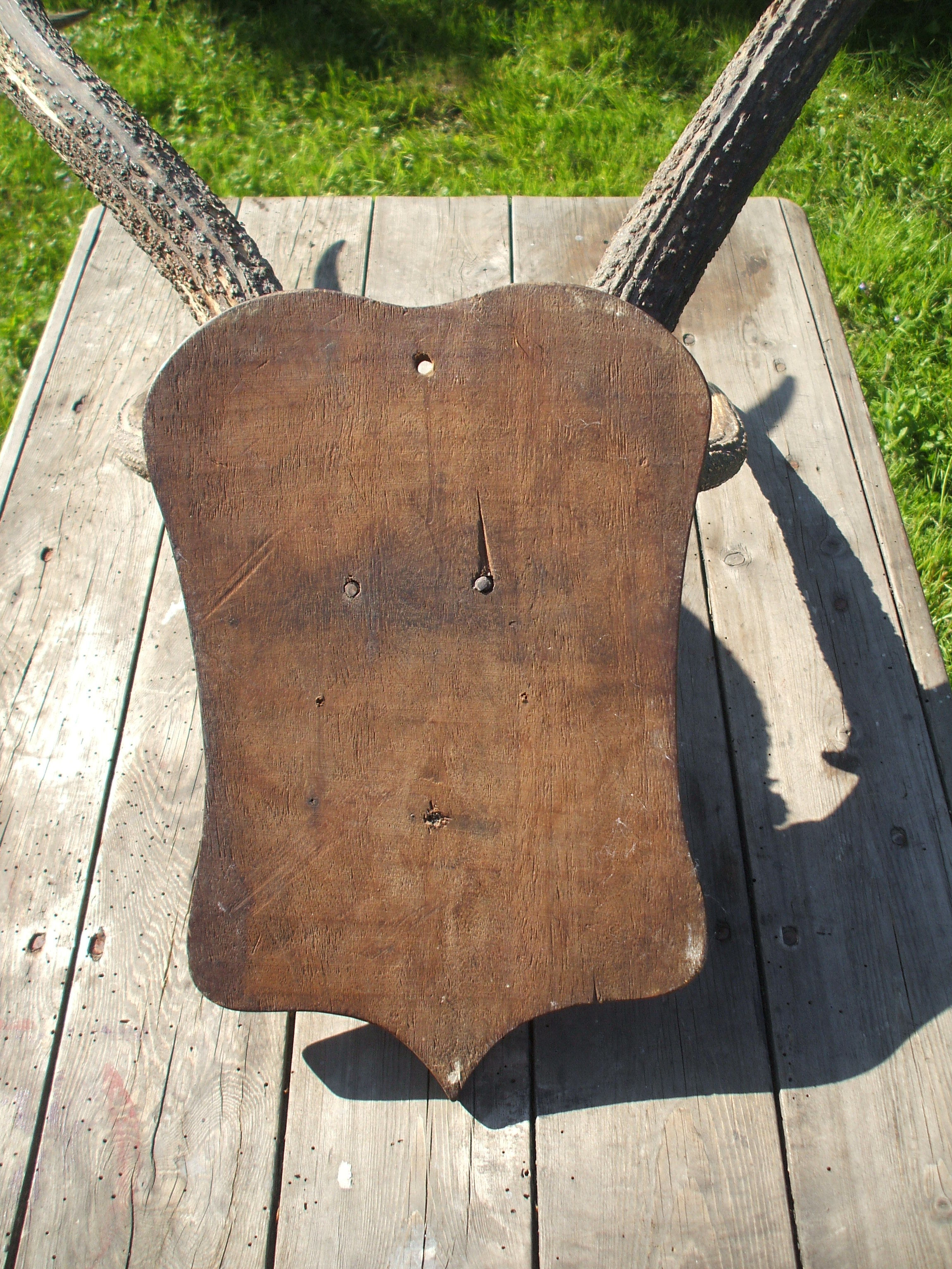 Slaughter of deer on coat of arms